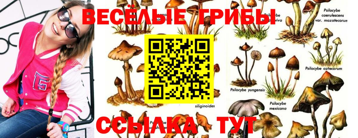 закладка  Псилоцибиновые грибы Psilocybine cubensis  Псилоцибиновые грибы MAGIC MUSHROOMS  Вход с VPN  Пенза 