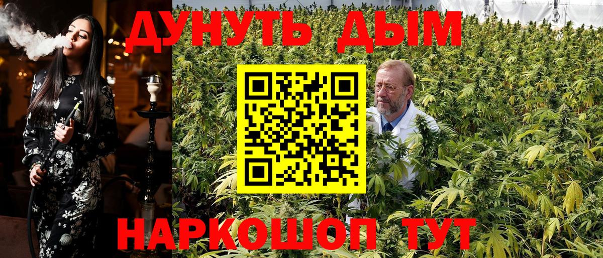 Марихуана сатива  Марихуана план  Каннабис White Widow  Вход с VPN  Пенза 